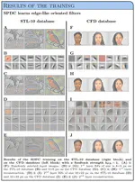 Sparse Deep Predictive Coding to model visual object recognition