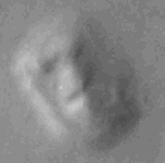 [Cydonia Mensae (2007) *Mars Global Surveyor*](https://fr.wikipedia.org/wiki/Cydonia_Mensae)