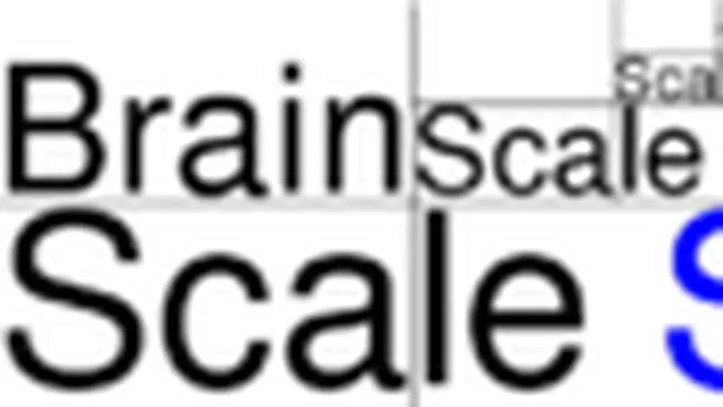 BrainScaleS (2011/2014) 