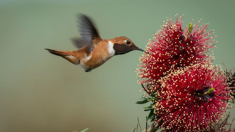 Emergences (2023 / 2027)