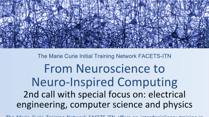 FACETS-ITN (2010/2013)