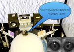 Open PhD Position in Computational & Systems Neuroscience : 'Neuromodulatory control of predictive processing in visual cortical circuits'