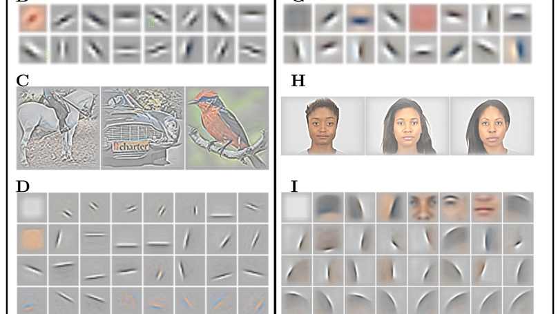 Sparse Deep Predictive Coding to model visual object recognition