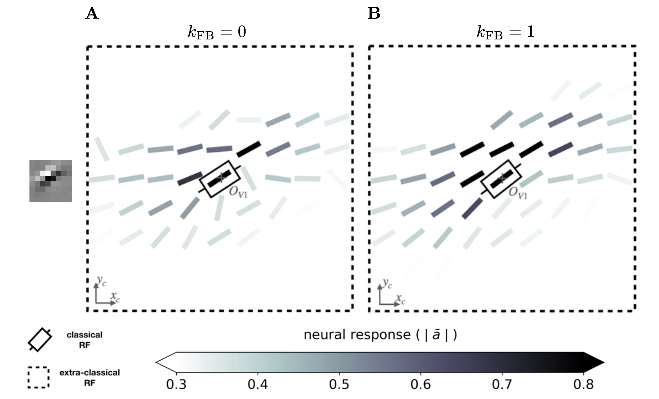 [[Boutin *et al*, 2021](https://laurentperrinet.github.io/publication/boutin-franciosini-chavane-ruffier-perrinet-20/)]