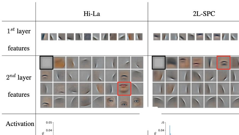 Effect of top-down connections in Hierarchical Sparse Coding