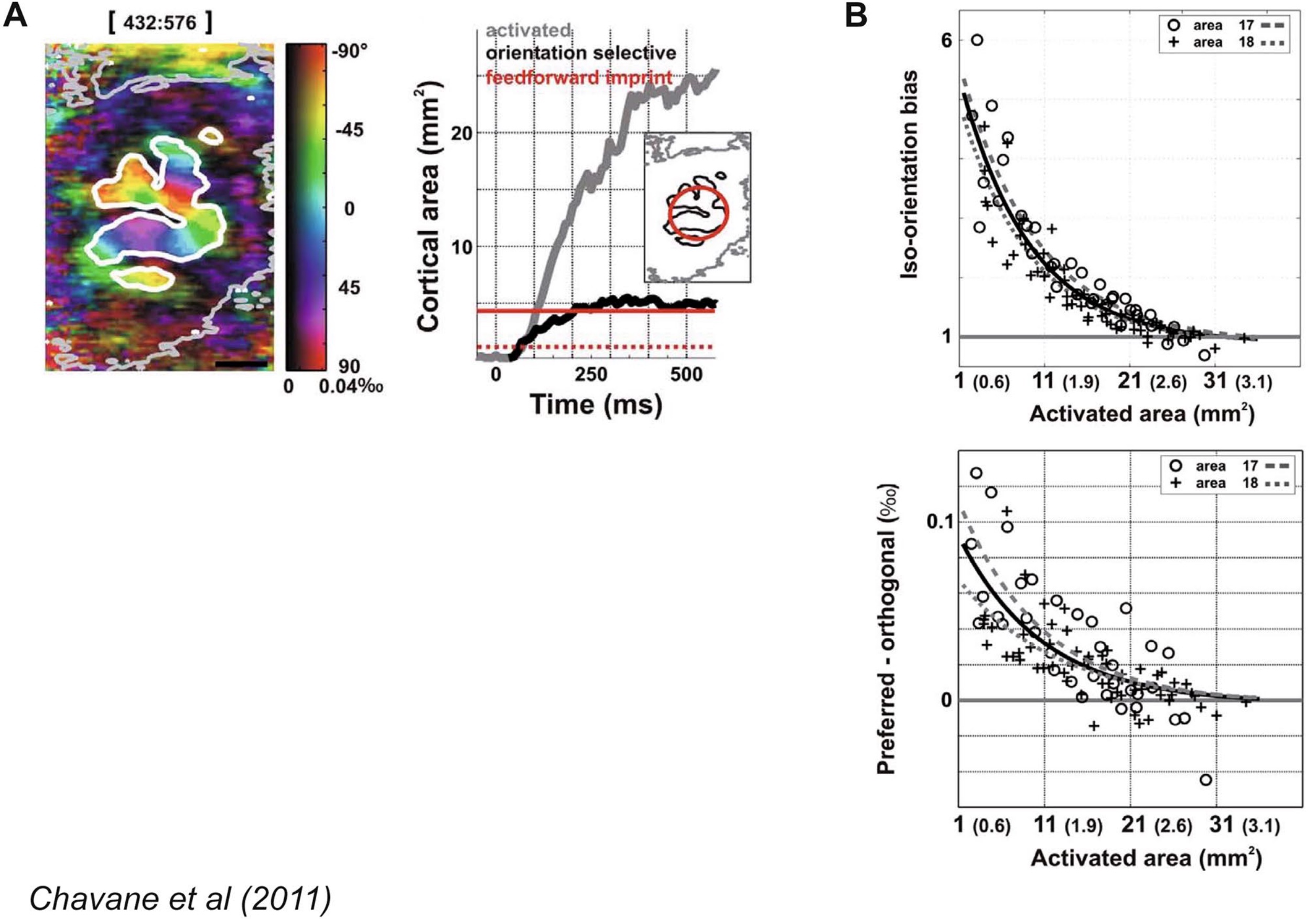 Revisiting Horizontal Connectivity Rules in V1: From like-to-like towards like-to-All [[Chavane, LP and Rankin, 2022]](https://laurentperrinet.github.io/publication/chavane-22/)