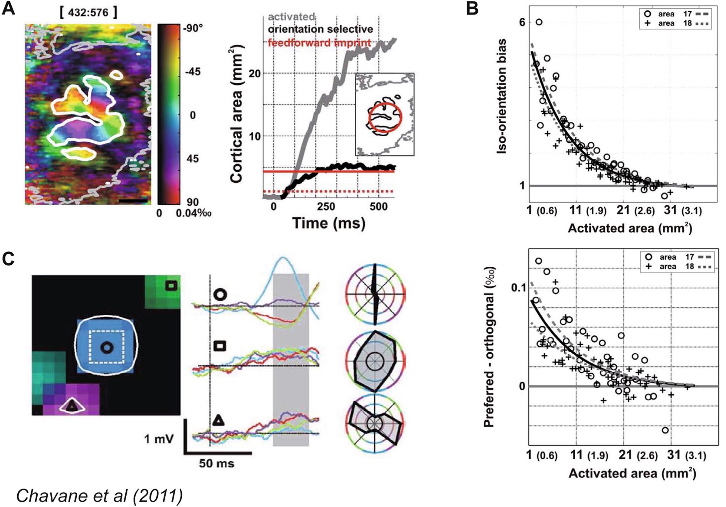 Revisiting Horizontal Connectivity Rules in V1: From like-to-like towards like-to-All [[Chavane, LP and Rankin, 2022]](https://laurentperrinet.github.io/publication/chavane-22/)