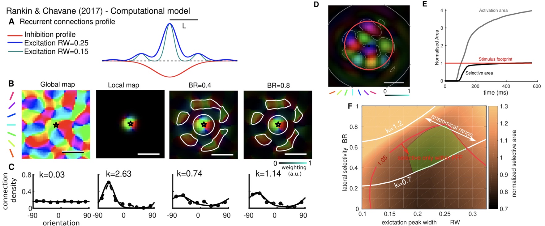 Revisiting Horizontal Connectivity Rules in V1: From like-to-like towards like-to-All [[Chavane, LP and Rankin, 2022]](https://laurentperrinet.github.io/publication/chavane-22/)