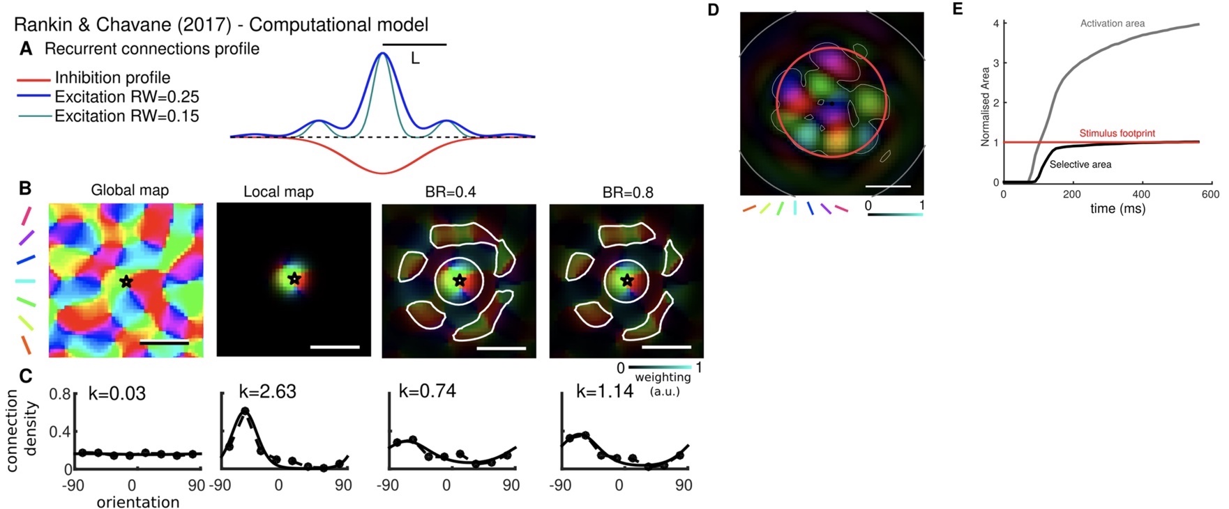 Revisiting Horizontal Connectivity Rules in V1: From like-to-like towards like-to-All [[Chavane, LP and Rankin, 2022]](https://laurentperrinet.github.io/publication/chavane-22/)