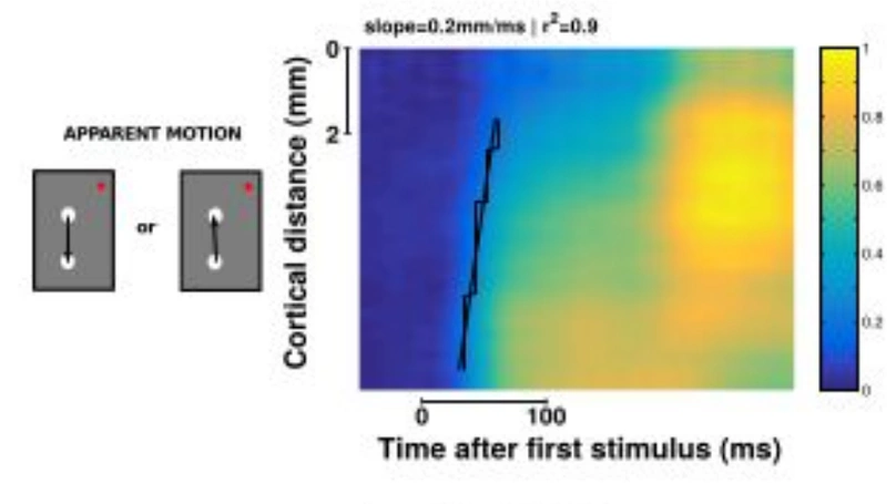 Suppressive waves disambiguate the representation of long-range apparent motion in awake monkey V1