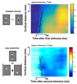 Suppressive waves disambiguate the representation of long-range apparent motion in awake monkey V1