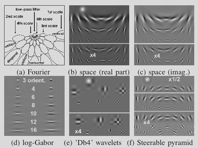 **Figure 1** Multiresolution schemes. (a) Schematic contours of the log-Gabor filters in the Fourier domain with 5 scales and 8 orientations (only the contours at 78% of the filter maximum are drawn). (b) The real part of the corresponding filters is drawn in the spatial domain. The two first scales are drawn at the bottom magnified by a factor of 4 for a better visualization. The different scales are arranged in rows and the orientations in columns. The low-pass filter is drawn in the upper-left part. (c) The corresponding imaginary parts of the filters are shown in the same arrangement. Note that the low-pass filter does not have imaginary part. Insets (b) and (c) show the final filters built through all the processes described in Section 2. (d) In the proposed scheme the elongation of log-Gabor wavelets increases with the number of orientations nt . Here the real parts (left column) and imaginary parts (right column) are drawn for the 3, 4, 6, 8, 10, 12 and 16 orientation schemes. (e) As a comparison orthogonal wavelet filters ‘Db4’ are shown. Horizontal, vertical and diagonal wavelets are arranged on columns (low-pass on top). (f) As a second comparison, steerable pyramid filters (Portilla et al., 2003) are shown. The arrangement over scales and orientations is the same as for the log-Gabor scheme.