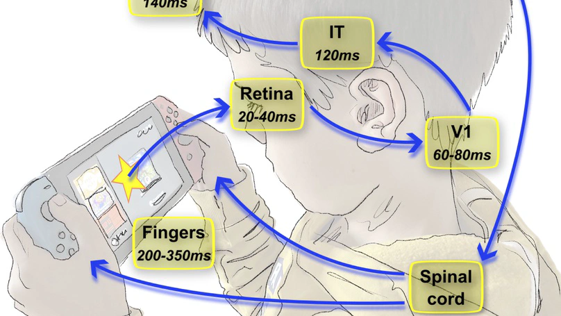 Precise spiking motifs in neurobiological and neuromorphic data