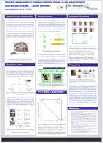 Ultra-fast categorization of images containing animals in vivo and in computo