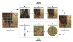 Integrating the What and Where Visual Pathways to Improve CNN Categorisation