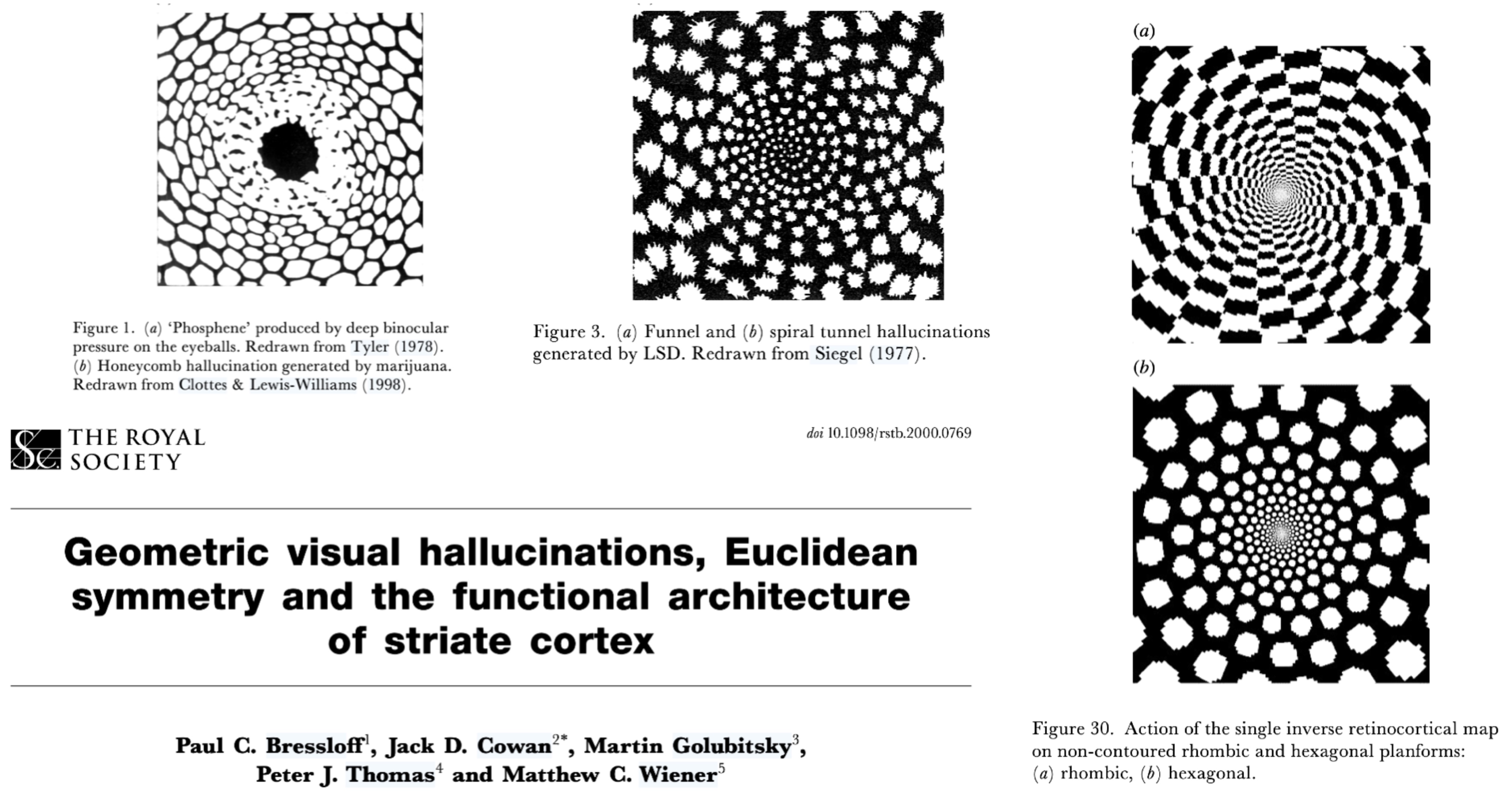 [JN Jérémie, E Daucé et LP (2026)](https://laurentperrinet.github.io/publication/jeremie-25)