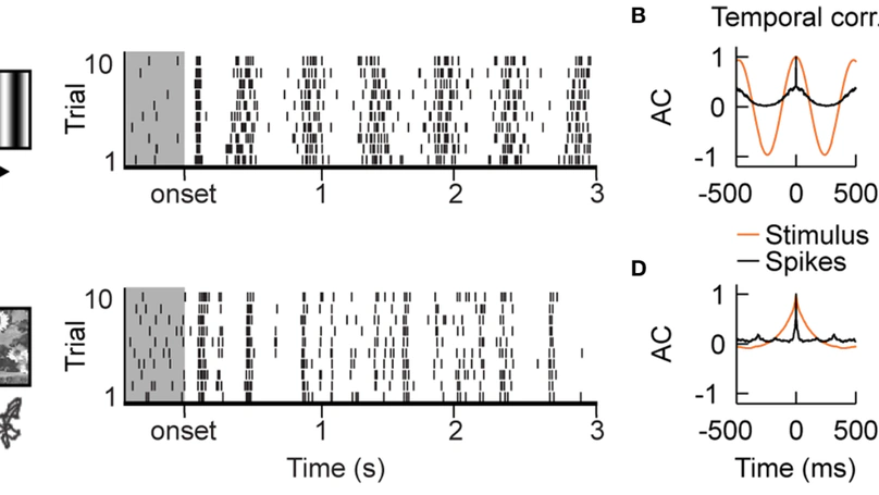 Push-Pull Receptive Field Organization and Synaptic Depression: Mechanisms for Reliably Encoding Naturalistic Stimuli in V1