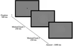 Selectivity to oriented patterns of different precisions