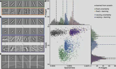 Epistemic uncertainty in a CSC dictionary improves both sparseness and reconstruction performance. **(a)** Elements from dictionaries with fixed epistemic uncertainty before (green) and after dictionary learning (orange). **(b)** Elements from a dictionary with heterogeneous epistemic uncertainty before (blue) and after dictionary learning (purple). **(c)** Elements from a dictionary learned from scratch. **(d)** Distribution of the sparseness (top) and Peak Signal-to-Noise Ratio (PSNR, right) of the five dictionaries, shown as a scatter plot for each of the 600 images of the dataset (center). Median values are shown as dashed line on the histograms.