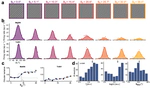 Cortical recurrence supports resilience to sensory variance in the primary visual cortex