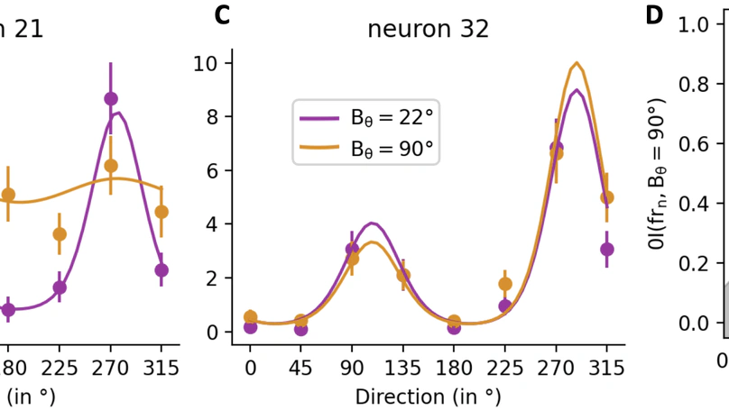 Population decoding of visual motion direction in V1 marmoset monkey : effects of uncertainty