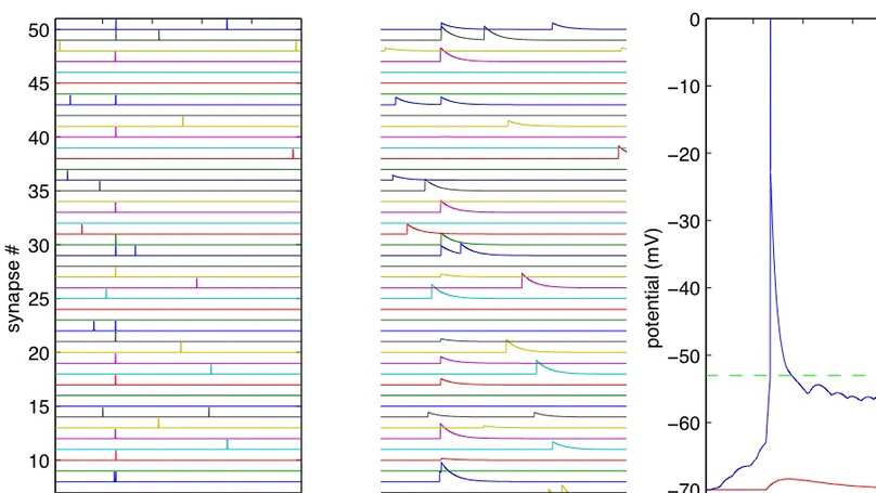 Visual Strategies for Sparse Spike Coding