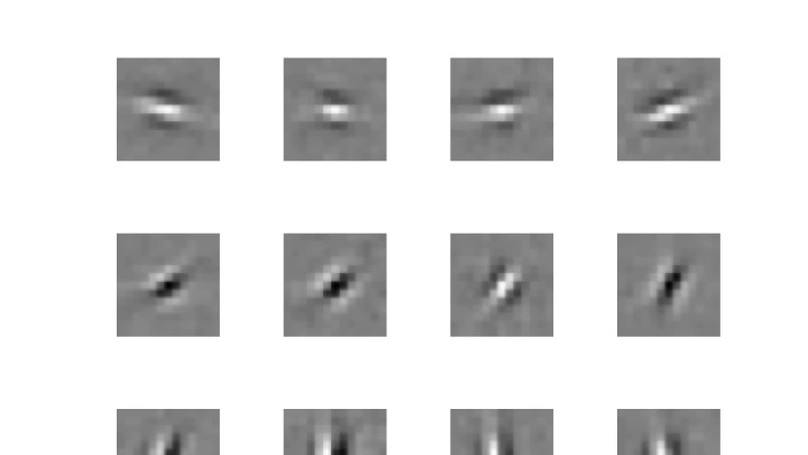 Emergence of filters from natural scenes in a sparse spike coding scheme