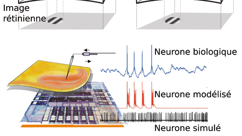 Qui créera le premier ordinateur intelligent?