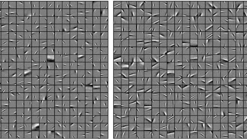 Role of homeostasis in learning sparse representations