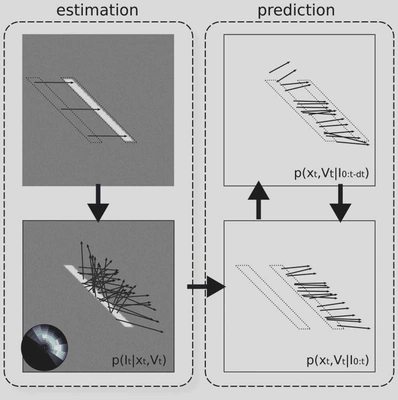 Figure 2: Architecture of the model. The model is constituted by a classical measurement stage and of a predictive coding layer. The measurement stage consists of (A) inferring from two consecutive frames of the input flow, (B) a likelihood distribution of motion. This layer interacts with the predictive layer which consists of (C) a prediction stage that infers from the current estimate and the transition prior the upcoming state estimate and (D) an estimation stage that merges the current prediction of motion with the likelihood measured at the same instant in the previous layer (B).