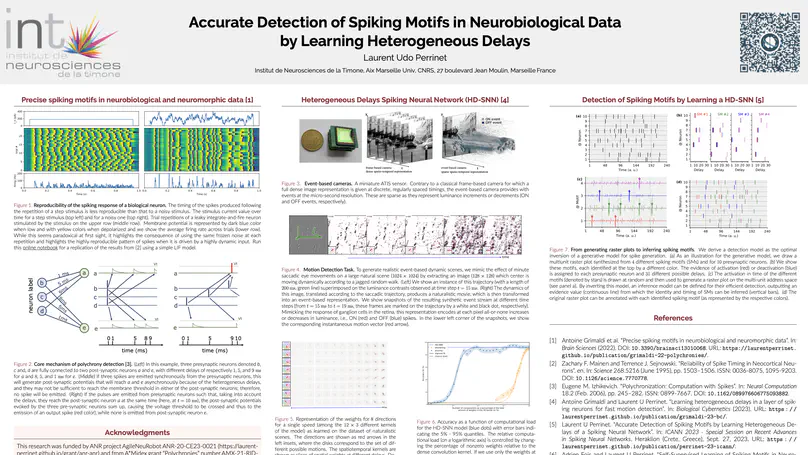 Accurate Detection of Spiking Motifs in Neurobiological Data by Learning Heterogeneous Delays of a Spiking Neural Network