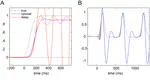 Active inference, eye movements and oculomotor delays