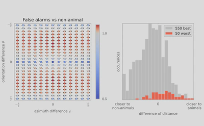 To see whether the patterns of errors made by humans are consistent with our model, we studied the second-order statistics of the 50 non-animal images that human subjects in Serre et al. (2007) most commonly falsely reported as having an animal. We call this set of images the false-alarm image dataset. (Left) This chevron map plot shows the ratio between the second-order statistics of the false-alarm images and the full non-animal natural image dataset, computed as in Figure 3 (left). Just as for the images that actually do contain animals (Figure~3, left), the images falsely reported as having animals have more co-circular and converging (red chevrons) and fewer collinear and orthogonal configurations (blue chevrons). (Right) To quantify this similarity, we computed the Kullback-Leibler distance between the histogram of each of these images from the false-alarm image dataset, and the average histogram of each class. The difference between these two distances gives a quantitative measure of how close each image is to the average histograms for each class. Consistent with the idea that humans are using edge co-occurences to do rapid image categorization, the 50 non-animal images that were worst classified are biased toward the animal histogram ($d' = 1.04$), while the 550 best classified non-animal images are closer to the non-animal histogram. 