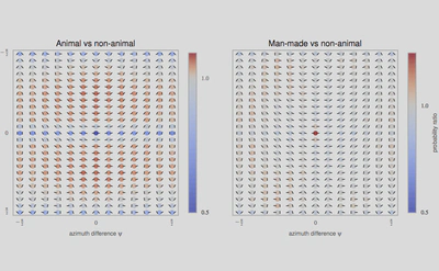 As for Figure 2, we show the probability of edge configurations as chevron maps for two databases (man-made, animal). Here, we show the ratio of histogram counts relative to that of the non-animal natural image dataset. Deeper and deeper red circles indicate configurations that are more and more likely (and blue respectively less likely) with respect to the histogram computed for non-animal images. In the left plot, the animal images exhibit relatively more circular continuations and converging angles (red chevrons in the central vertical axis) relative to non-animal natural images, at the expense of co-linear, parallel, and orthogonal configurations (blue circles along the middle horizontal axis). The man-made images have strikingly more co-linear features (central circle), which reflects the prevalence of long, straight lines in the cage images in that dataset. We use this representation to categorize images from these different categories in Figure~4.