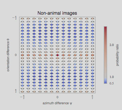 The probability distribution function $p(\psi, \theta)$ represents the distribution of the different geometrical arrangements of edges' angles, which we call a chevron map. We show here the histogram for non-animal natural images, illustrating the preference for co-linear edge configurations. For each chevron configuration, deeper and deeper red circles indicate configurations that are more and more likely with respect to a uniform prior, with an average maximum of about $3$ times more likely, and deeper and deeper blue circles indicate configurations less likely than a flat prior (with a minimum of about $0.8$ times as likely). Conveniently, this chevron map shows in one graph that non-animal natural images have on average a preference for co-linear and parallel edges, (the horizontal middle axis) and orthogonal angles (the top and bottom rows),along with a slight preference for co-circular configurations (for $\psi=0$ and $\psi=\pm \frac \pi 2$, just above and below the central row). We compare chevron maps in different image categories in Figure~3.