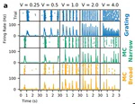 Speed-Selectivity in Retinal Ganglion Cells is Sharpened by Broad Spatial Frequency, Naturalistic Stimuli