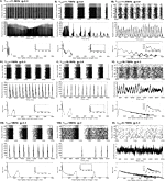 Phase space analysis of networks based on biologically realistic parameters