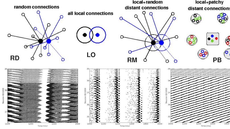 Complex dynamics in recurrent cortical networks based on spatially realistic connectivities
