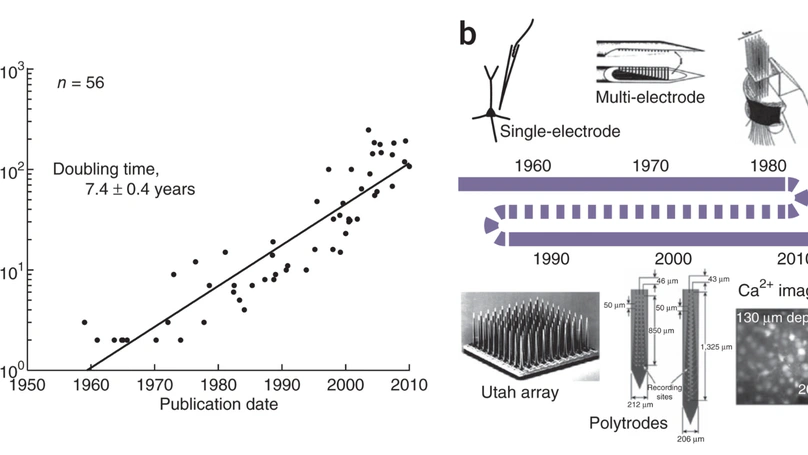 Analyser de larges volumes de données neurobiologiques, vers une approche biomimétique