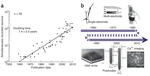 Analyser de larges volumes de données neurobiologiques, vers une approche biomimétique