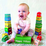Modelling working memory for neuroscience